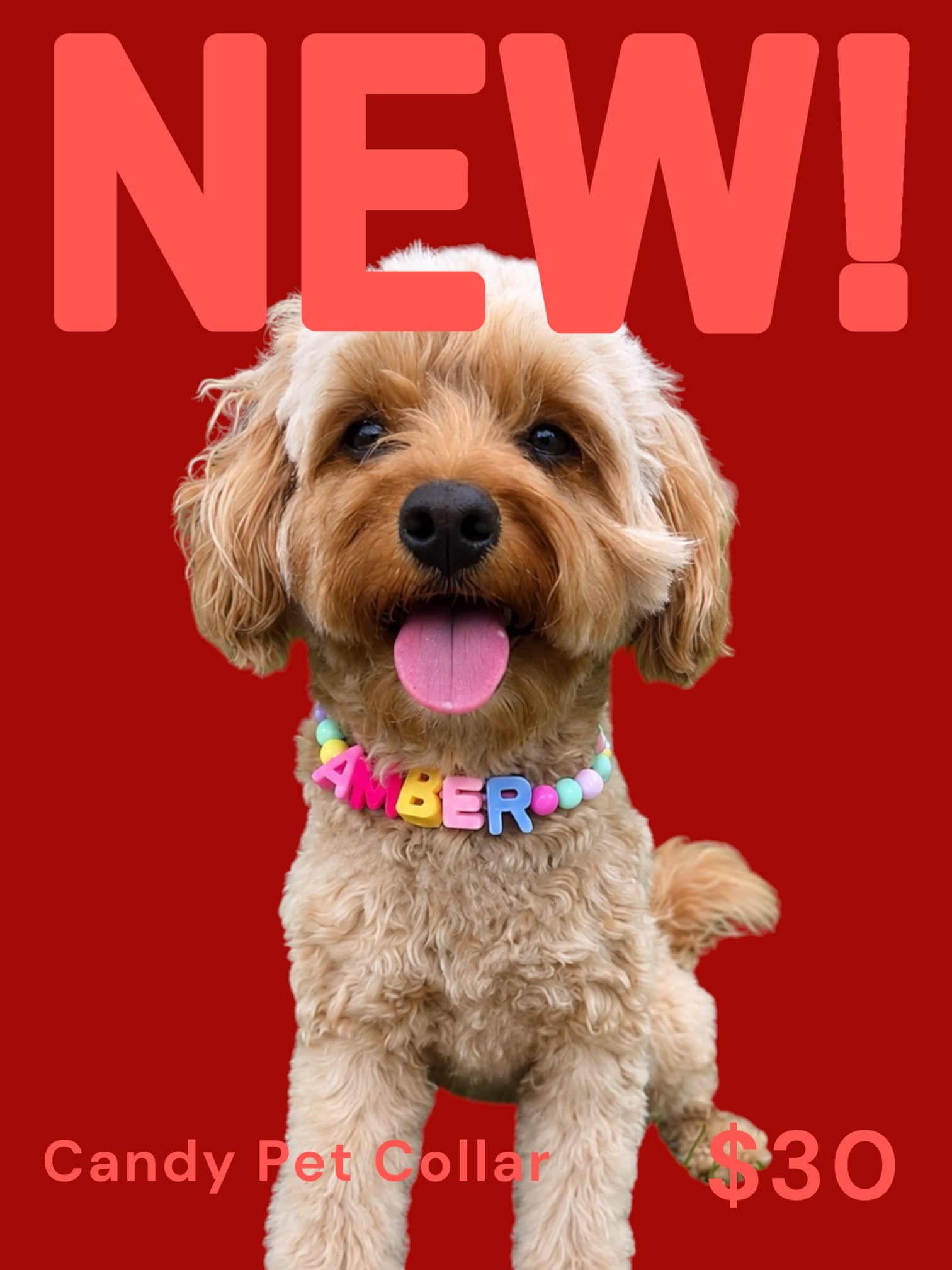 Candy Pet Collar