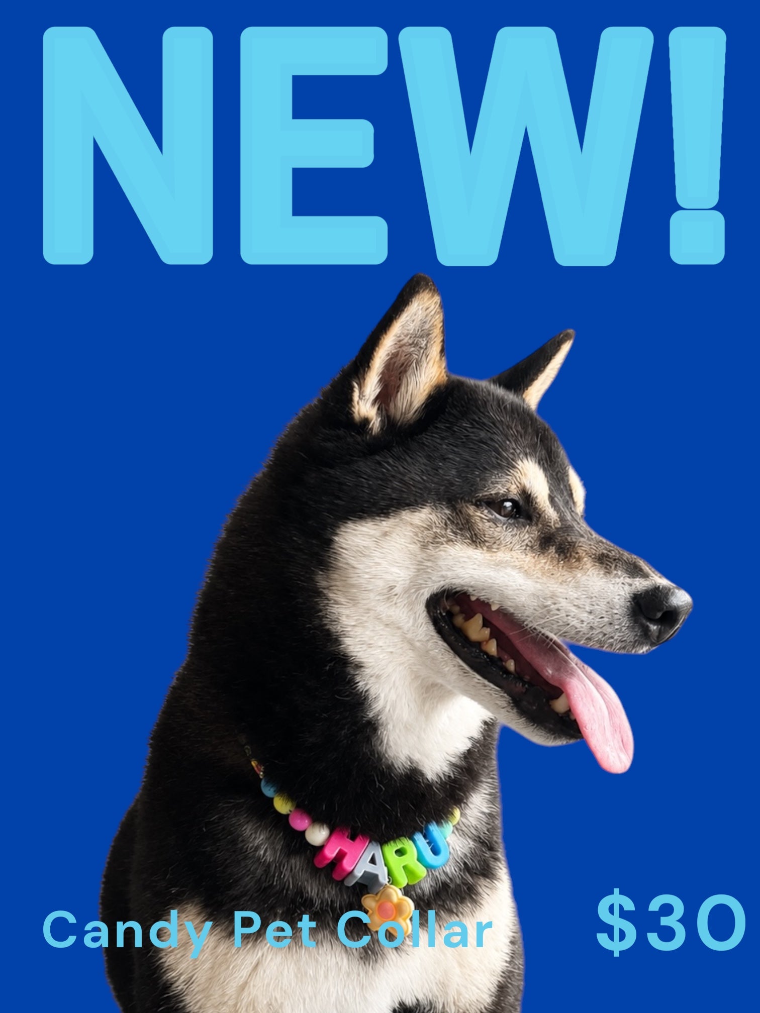 Candy Pet Collar