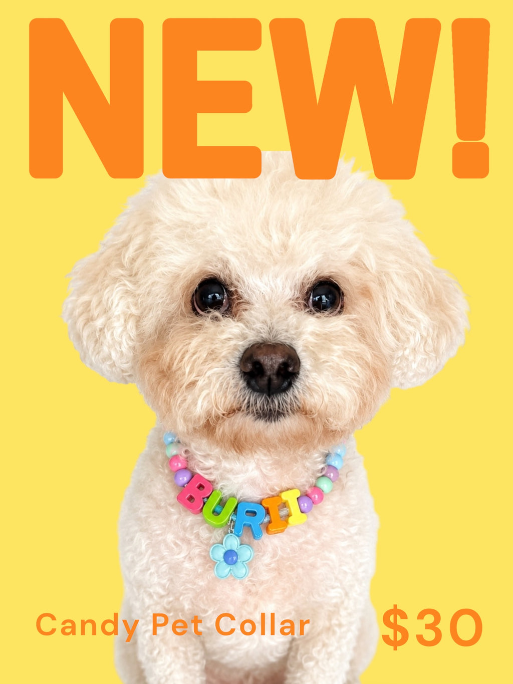 Candy Pet Collar