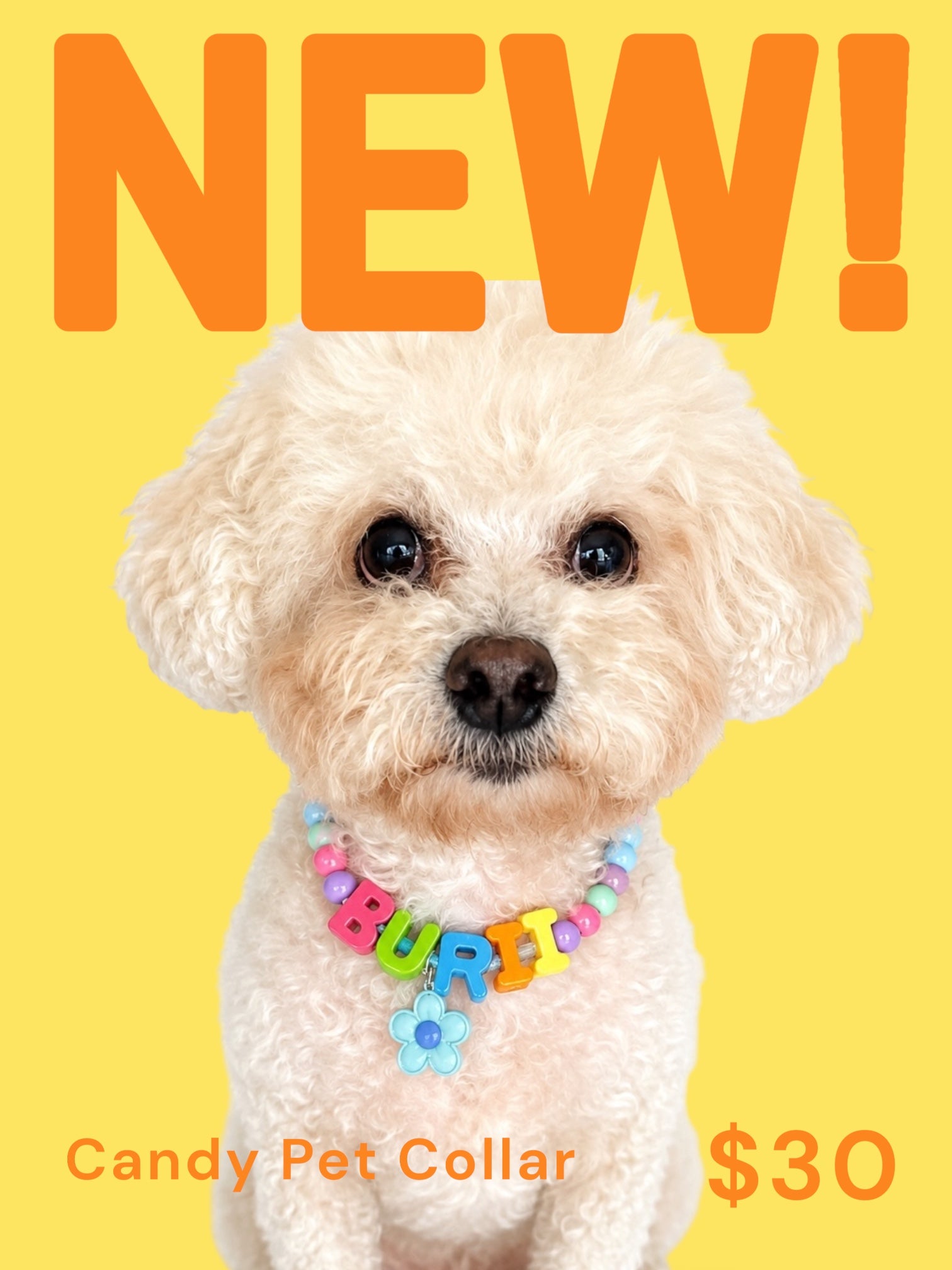 Candy Pet Collar